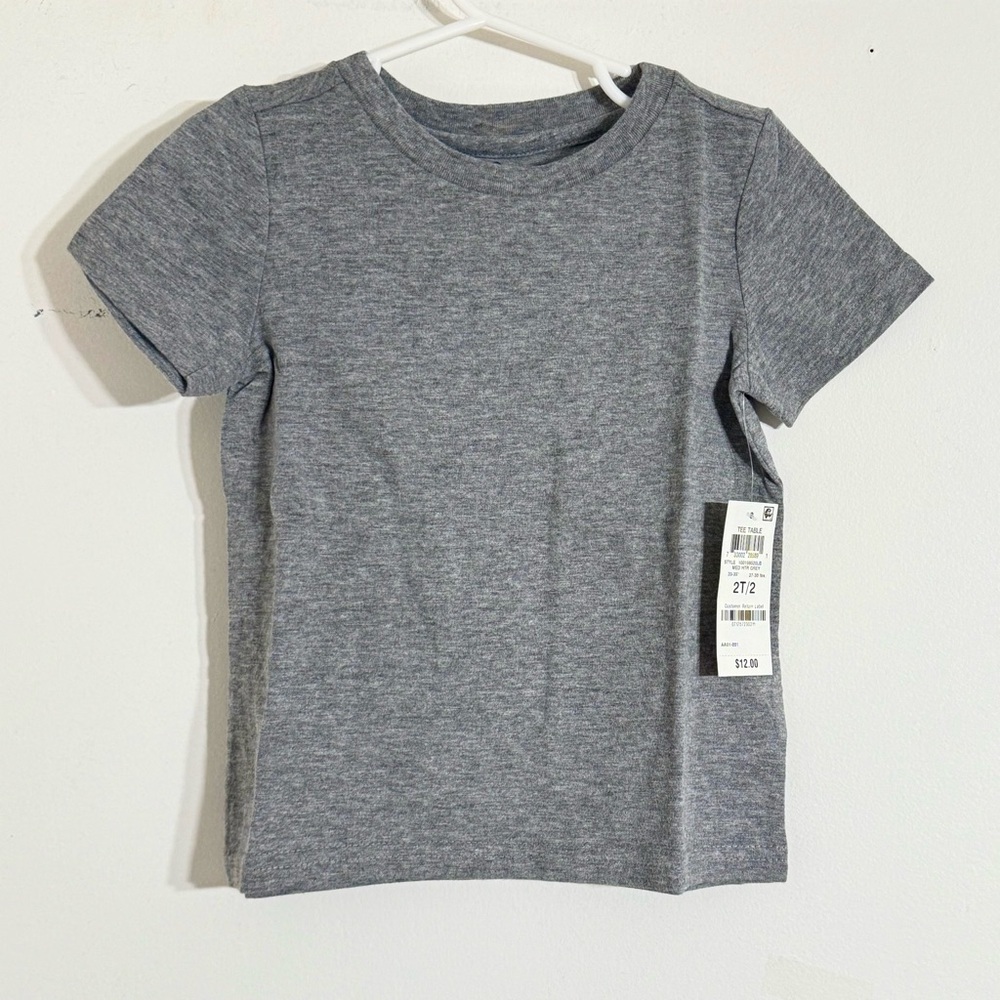 ❤️3 for $12 ❤️ Epic Thread Exira Soft Toddler Boys T-Shirt Gray Size 2T NWT